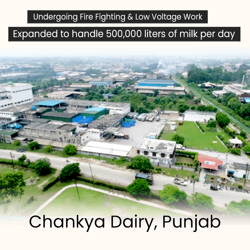 Chnkyaa Dairy